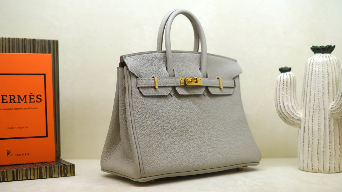 Hermès Birkin 25 Gris — 4