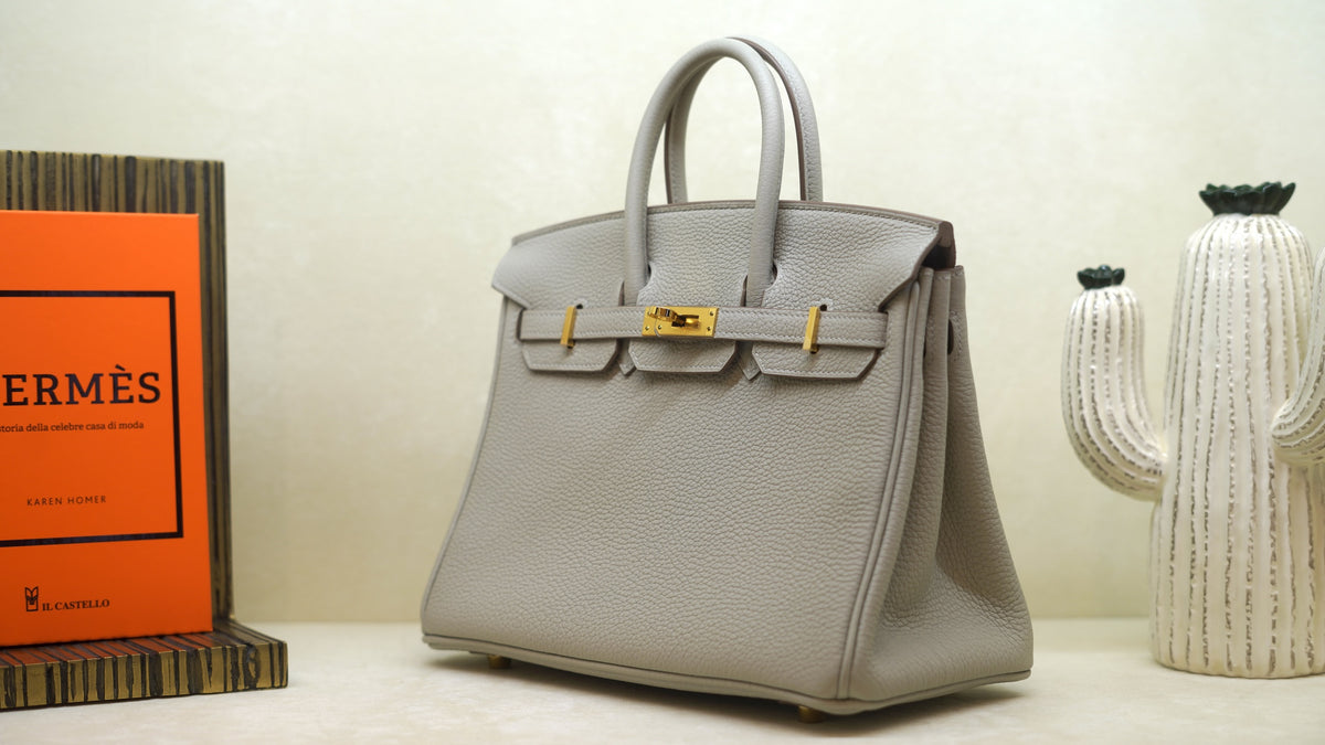 Hermès Birkin 25 Gris — 5